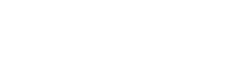 4. Regie Overdragen