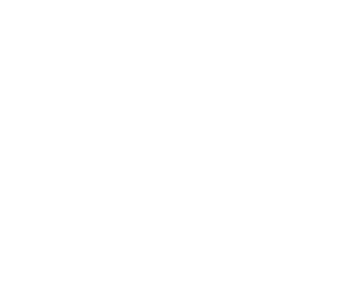 Individuele verschillen